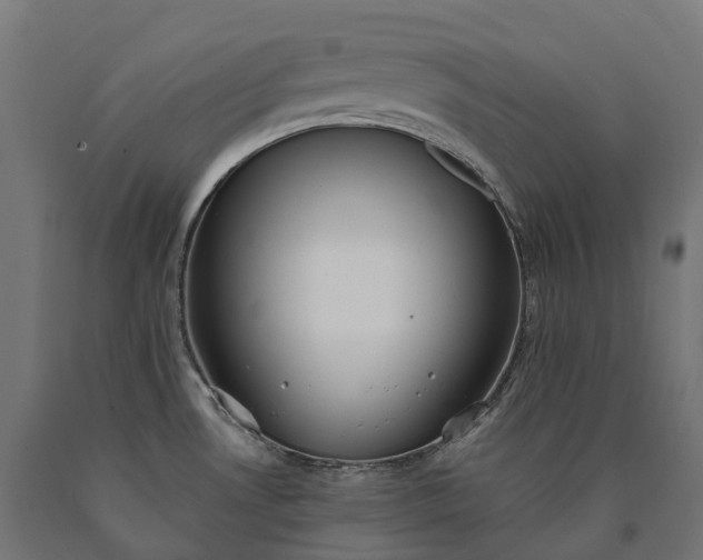 X0000090771530200708031641