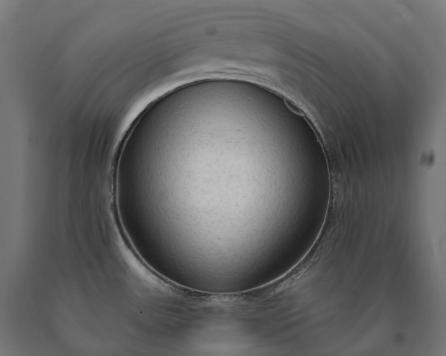 X0000090771531200708031641