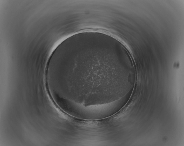 X0000090771533200708031641