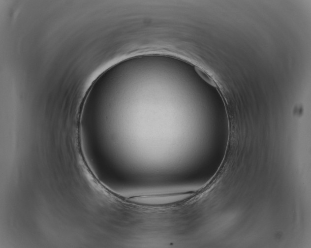 X0000090771534200708031641