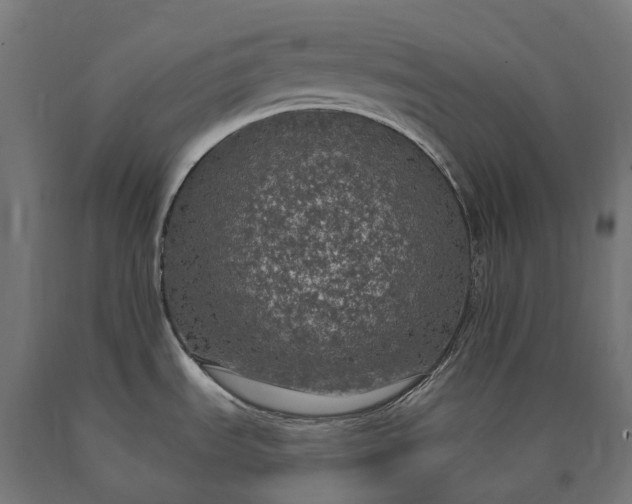 X0000090771535200708031641