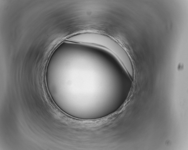 X0000090770001200708101820