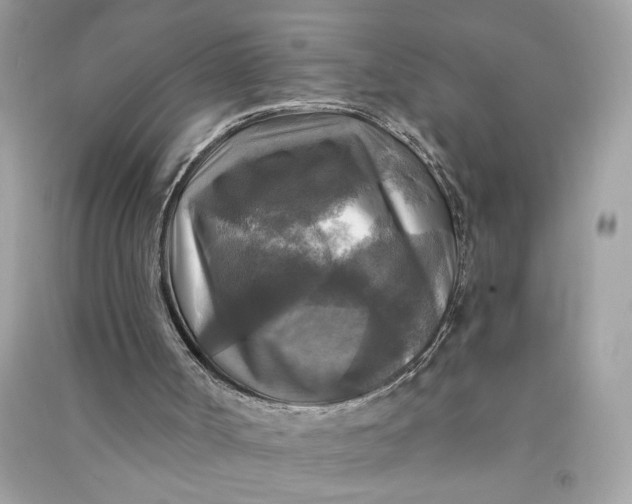 X0000090770002200708101820
