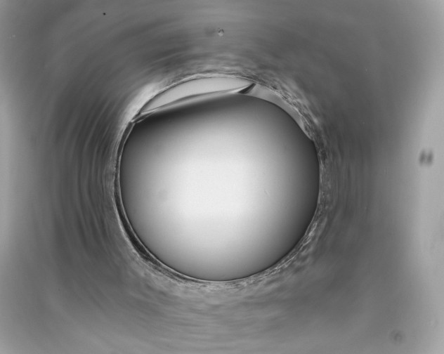 X0000090770003200708101820