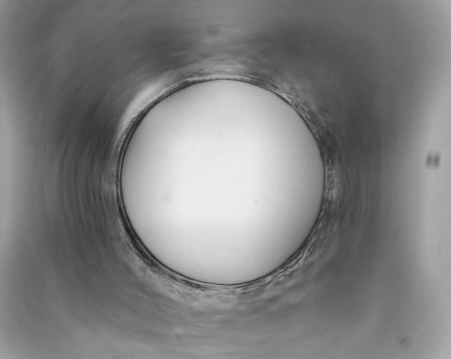 X0000090770004200708101820