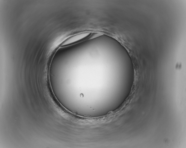X0000090770005200708101820