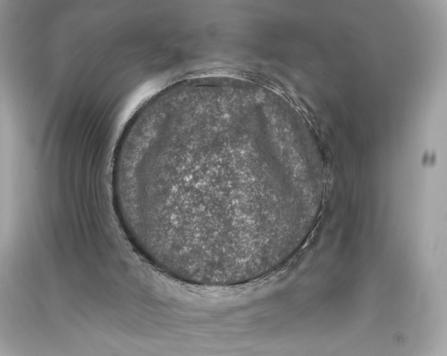 X0000090770006200708101820