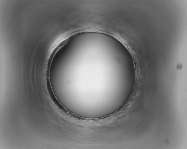 X0000090770007200708101820