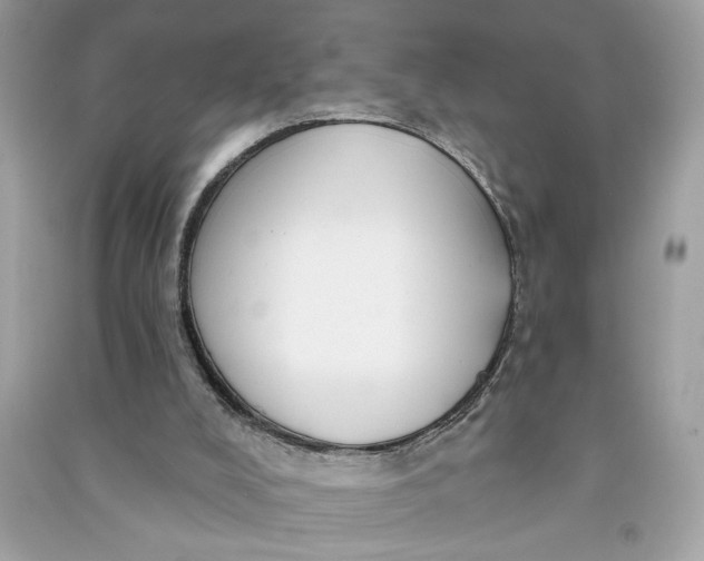 X0000090770008200708101820