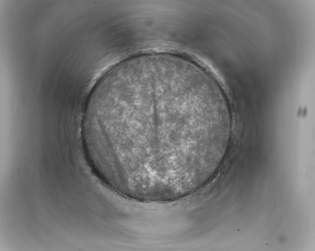 X0000090770010200708101820