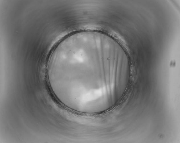 X0000090770012200708101820