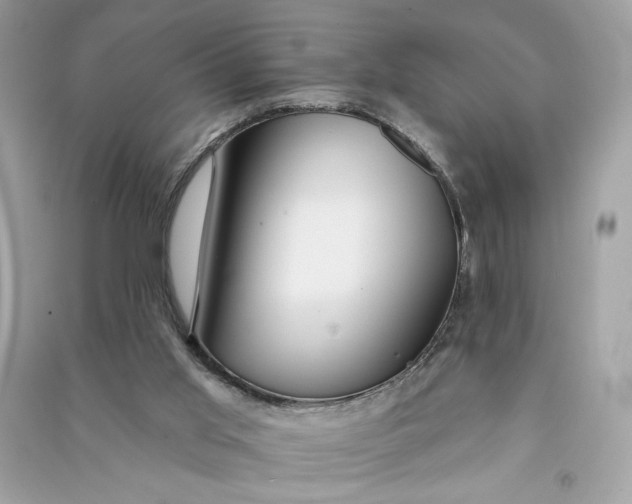 X0000090770013200708101820