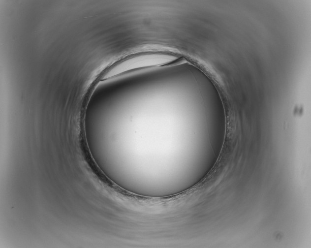 X0000090770015200708101820