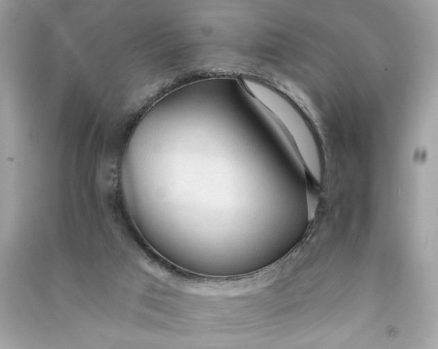 X0000090770017200708101820