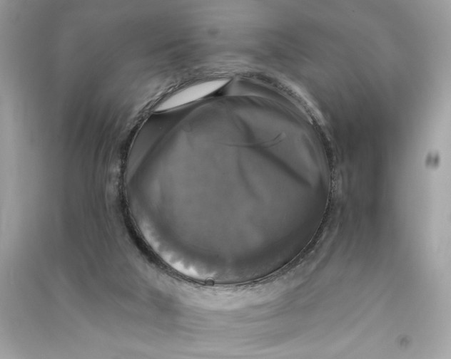 X0000090770018200708101820