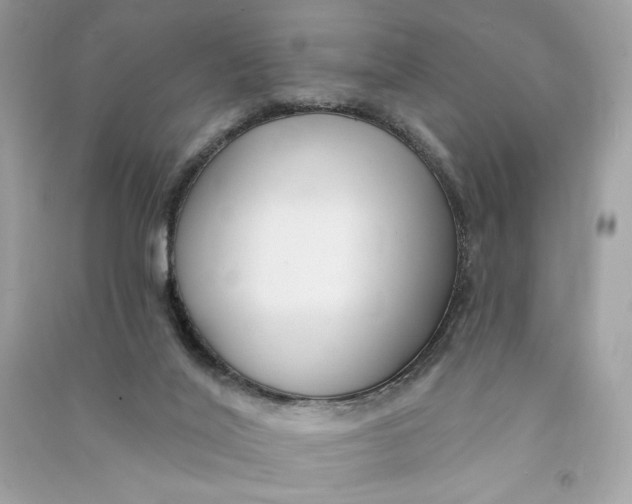 X0000090770020200708101820