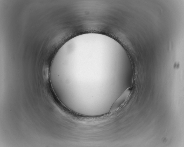 X0000090770021200708101820