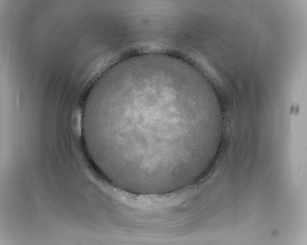 X0000090770022200708101820