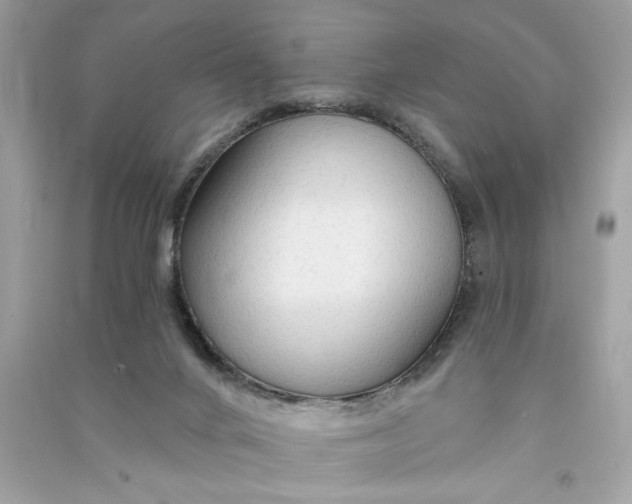 X0000090770024200708101820