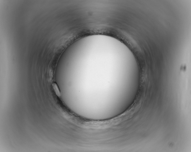 X0000090770025200708101820