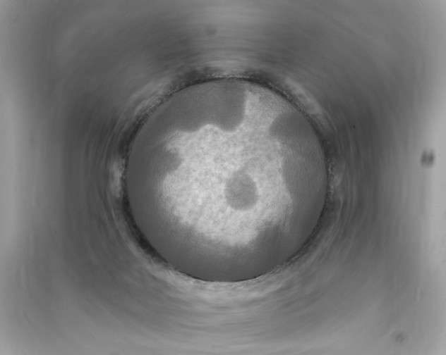 X0000090770026200708101820