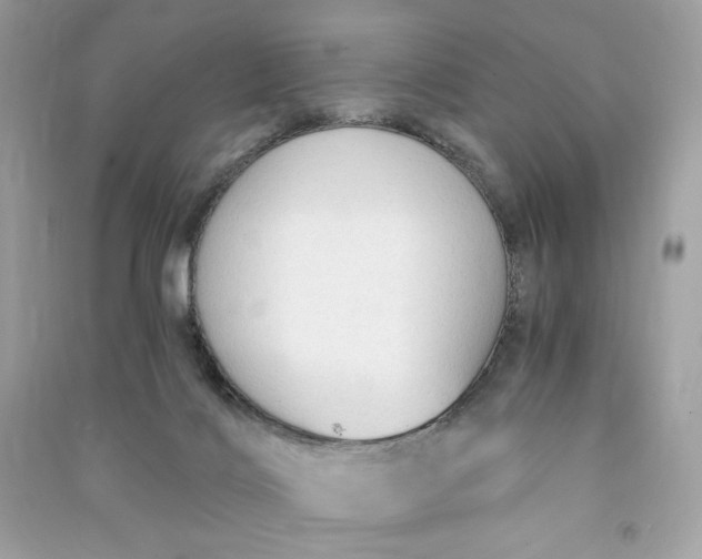 X0000090770028200708101820