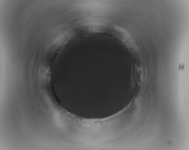 X0000090770029200708101820