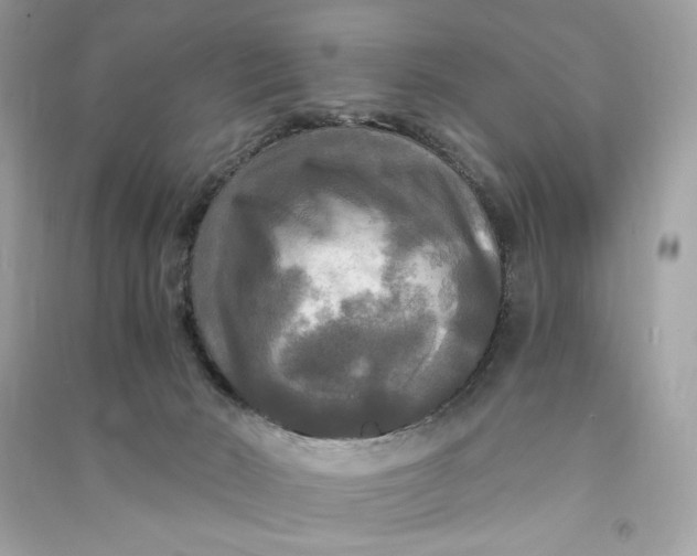 X0000090770030200708101820