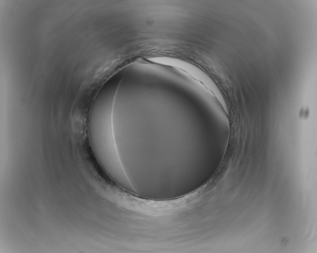 X0000090770031200708101820