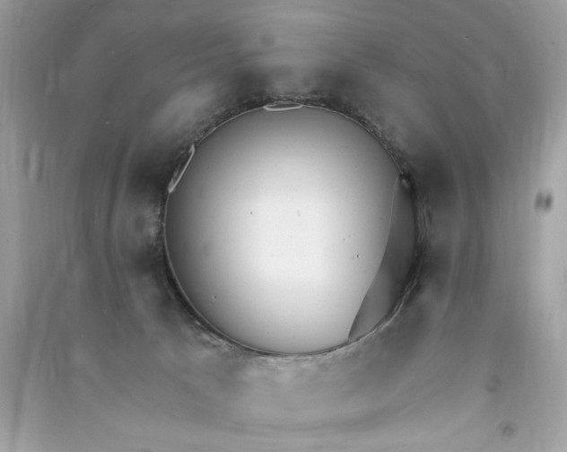 X0000090770033200708101820