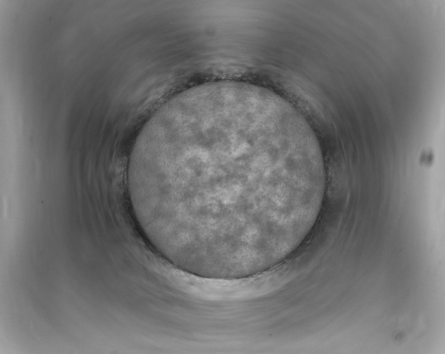 X0000090770034200708101820
