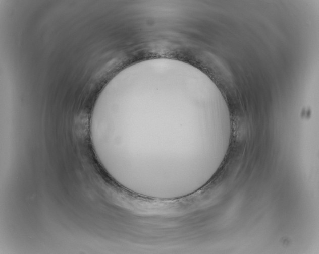 X0000090770036200708101820