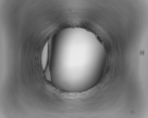 X0000090770037200708101820