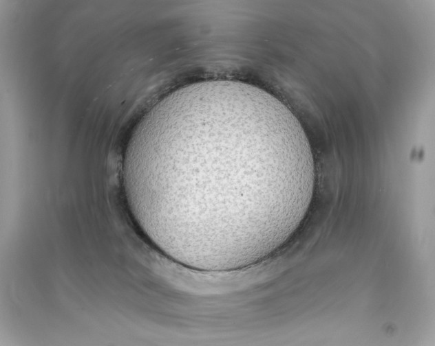 X0000090770038200708101820