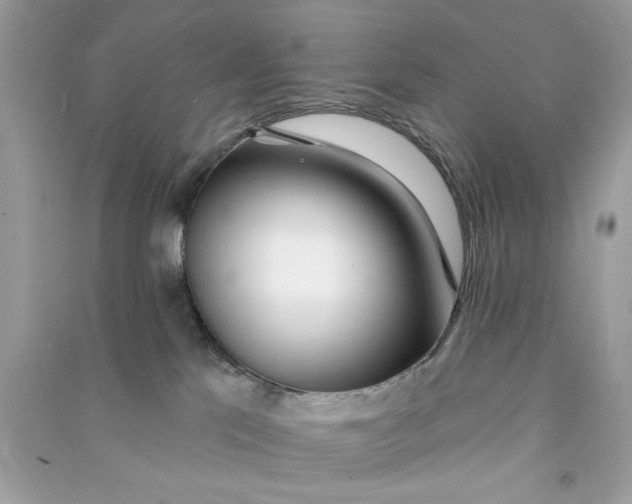 X0000090770041200708101820