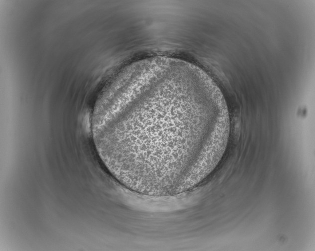 X0000090770042200708101819