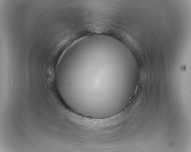 X0000090770043200708101819