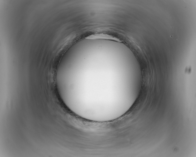 X0000090770044200708101819