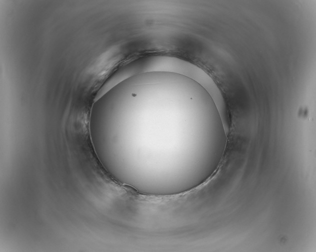 X0000090770045200708101819