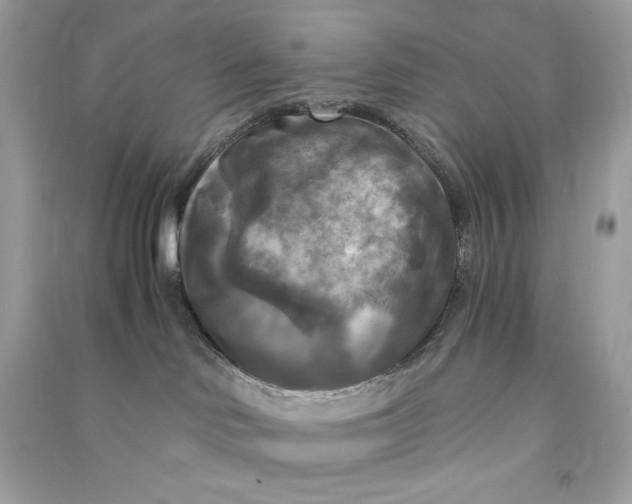 X0000090770046200708101819