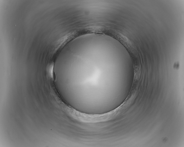 X0000090770047200708101819