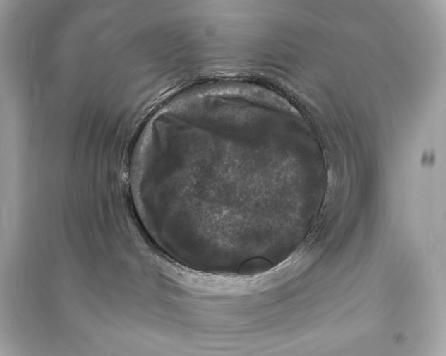 X0000090770048200708101819
