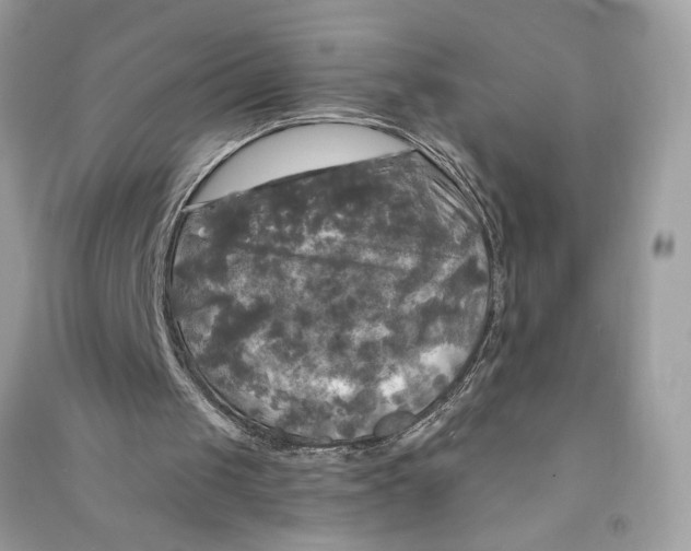 X0000090770049200708101819