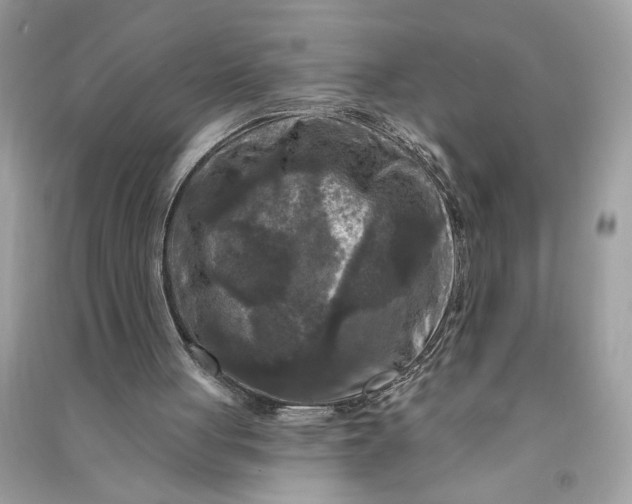 X0000090770051200708101819