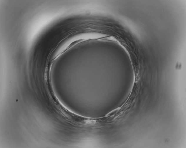 X0000090770052200708101819