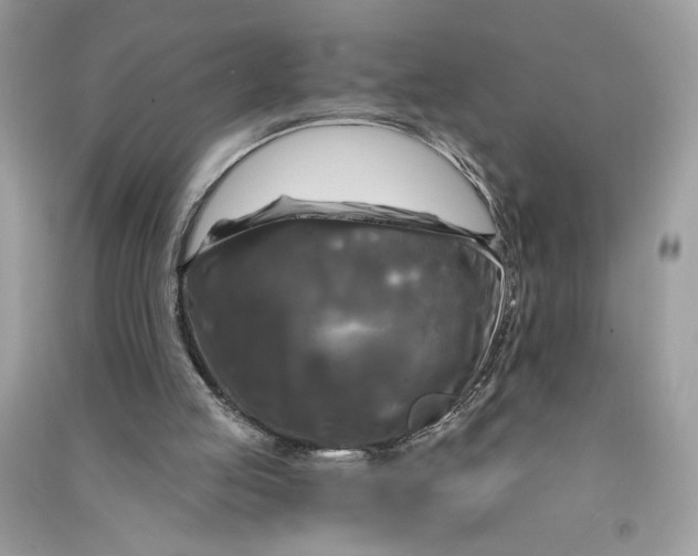 X0000090770053200708101819