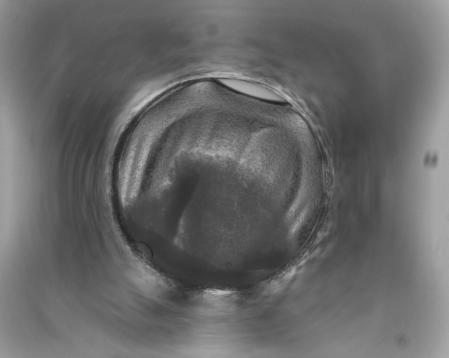 X0000090770055200708101819