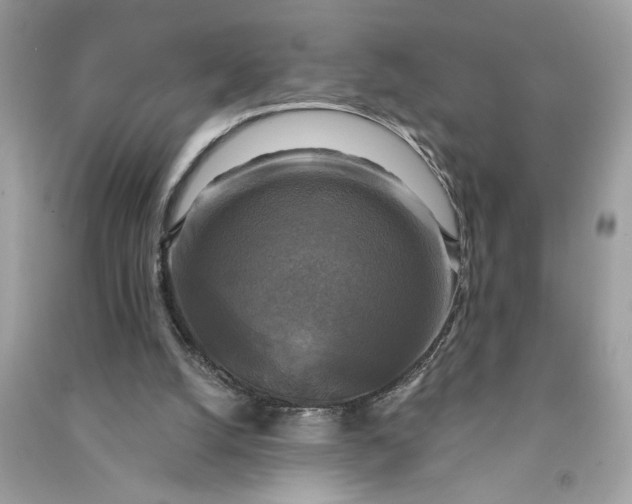 X0000090770056200708101819