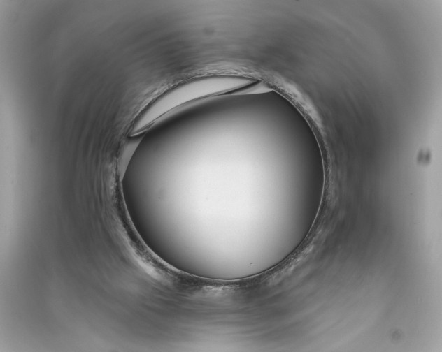 X0000090770057200708101819