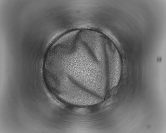 X0000090770058200708101819